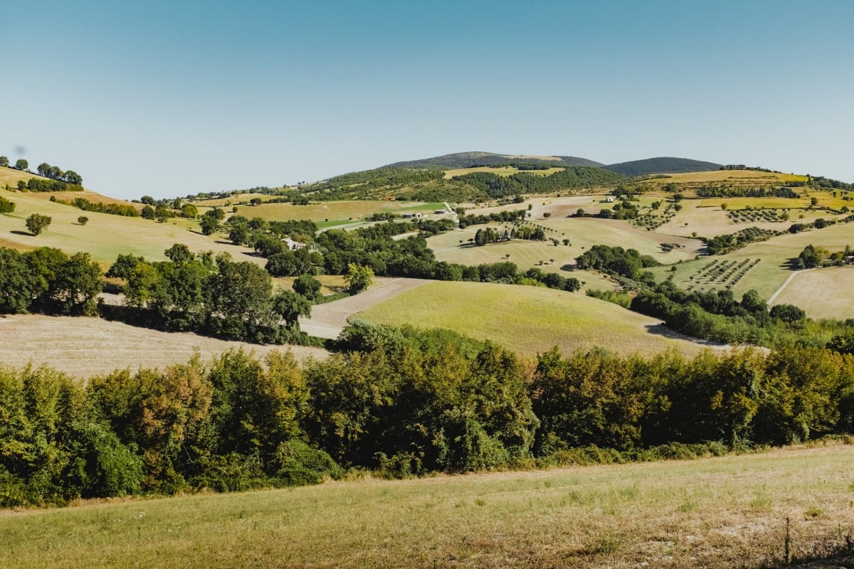 L’Appennino di Dante